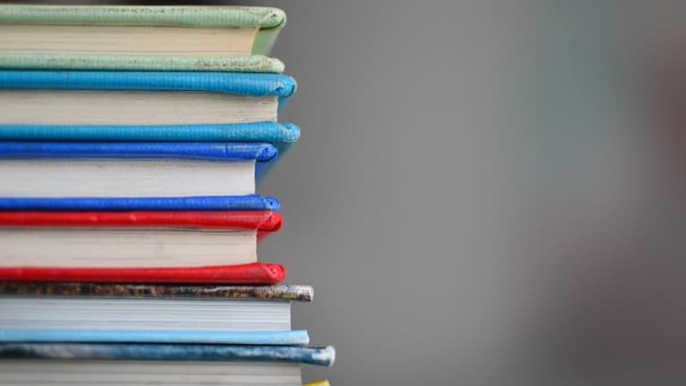 Vorschaubild: Ökosystem Wald — Bestimmungs-Apps