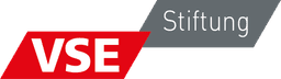 Logo: VSE Stiftung
