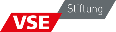 Logo: VSE Stiftung