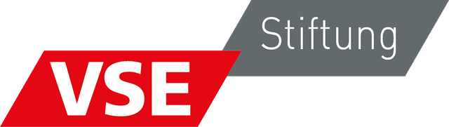Logo: VSE Stiftung