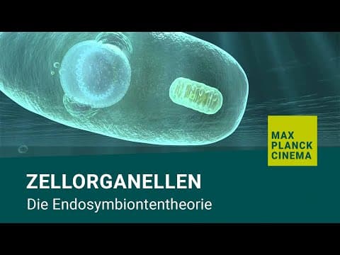 Zellorganellen – die Endosymbiontentheorie