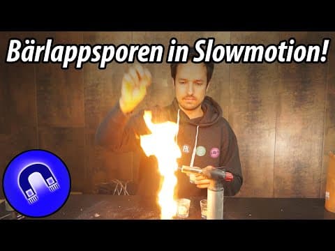 Bärlappsporen-Verpuffung in Slow Motion