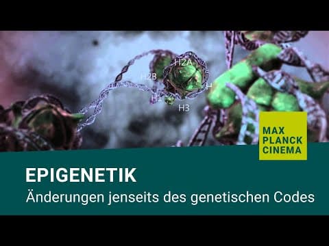 Epigenetik – Änderungen jenseits des genetischen Codes